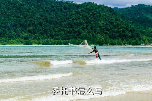 代办委托书样本,委托代办营业执照委托书