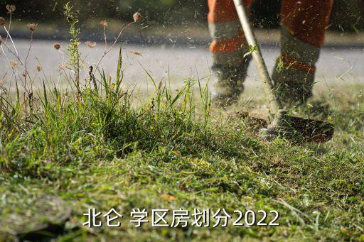 北仑 学区房划分2022