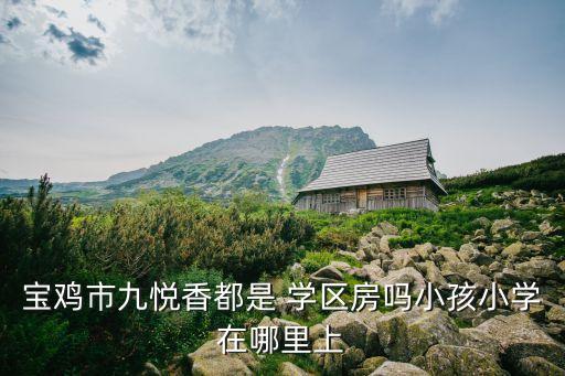 宝鸡市九悦香都是 学区房吗小孩小学在哪里上