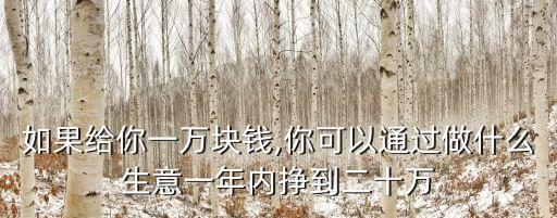 如果给你一万块钱,你可以通过做什么生意一年内挣到二十万