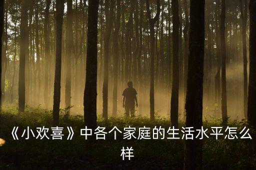 《小欢喜》中各个家庭的生活水平怎么样
