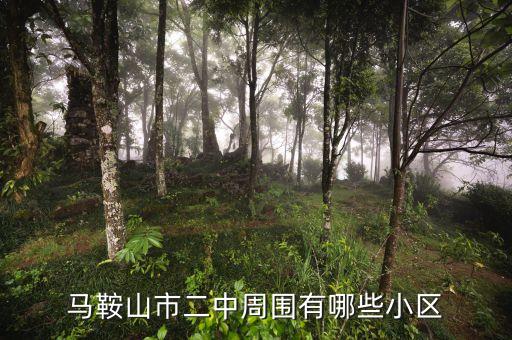 马鞍山市二中周围有哪些小区