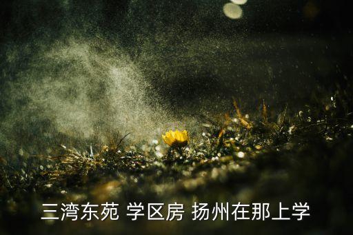 三湾东苑 学区房 扬州在那上学