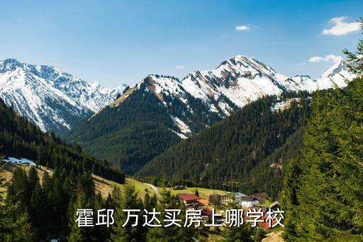 霍邱 万达买房上哪学校