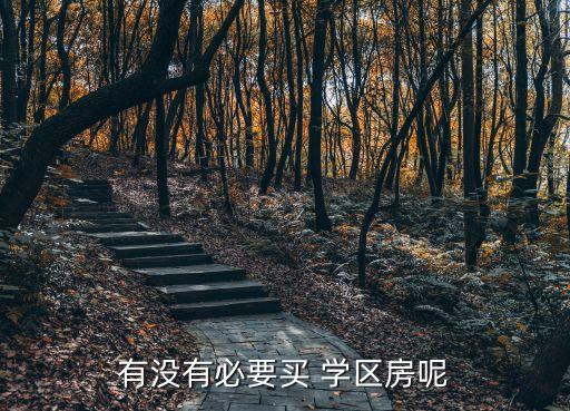 有没有必要买 学区房呢