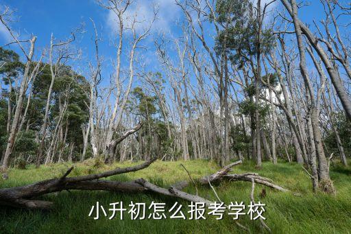 小升初有几种择校方式沧州