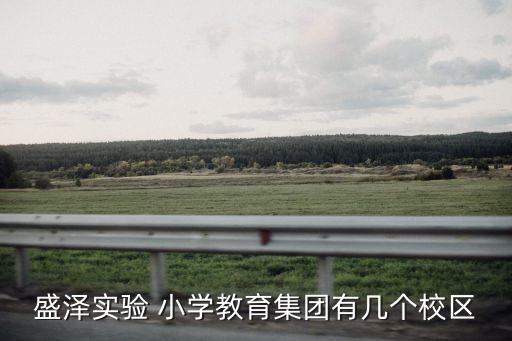 盛泽实验 小学教育集团有几个校区