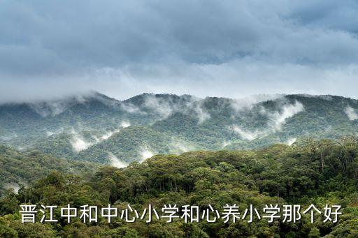  晋江中和中心小学和心养小学那个好