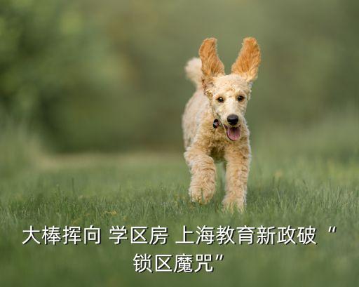 大棒挥向 学区房 上海教育新政破“锁区魔咒”