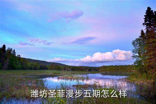 潍坊可以买的学区房是哪个