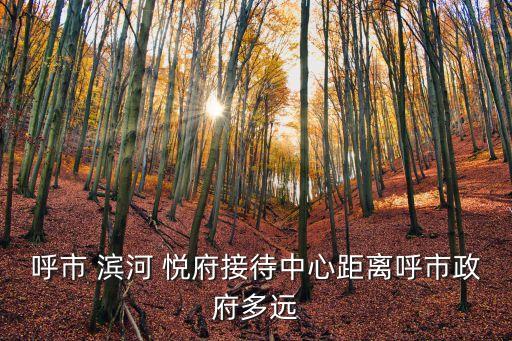 呼市 滨河 悦府接待中心距离呼市政府多远