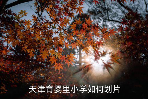  天津育婴里小学如何划片