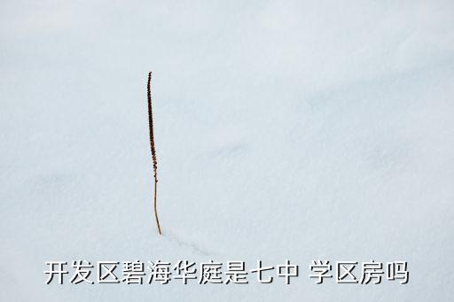 开发区碧海华庭是七中 学区房吗