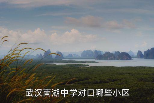  武汉南湖中学对口哪些小区