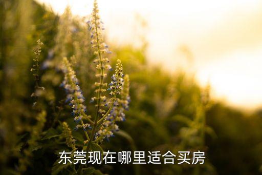  东莞现在哪里适合买房