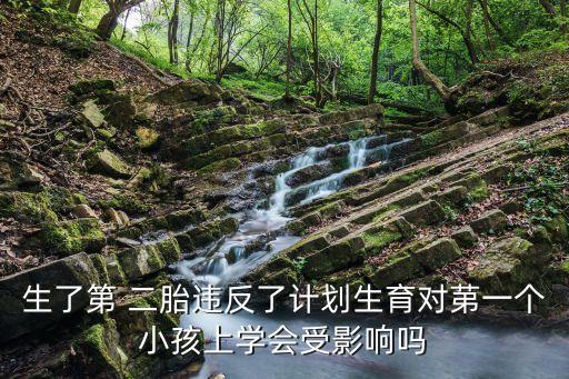 生了第 二胎违反了计划生育对苐一个小孩上学会受影响吗