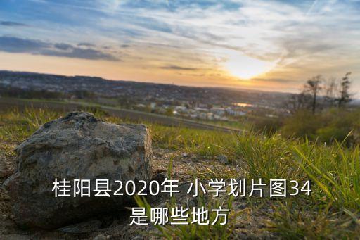  桂阳县2020年 小学划片图34是哪些地方