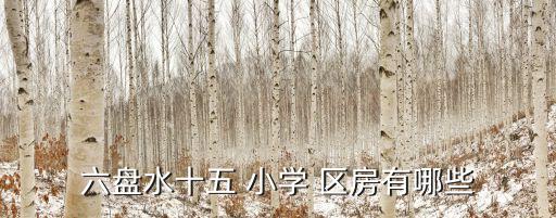 六盘水十五 小学 区房有哪些