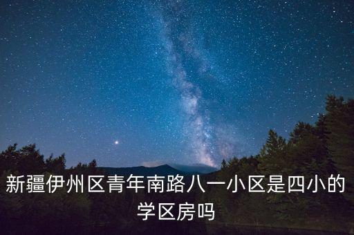 新疆伊州区青年南路八一小区是四小的学区房吗