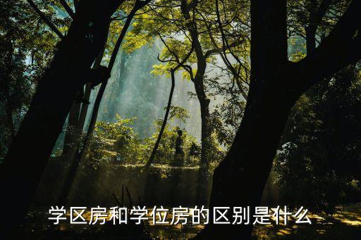 什么叫双学位学区房，现在好多地方的房子都说什么带学位是不是真的啊我只知道学区房