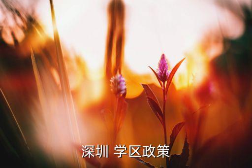 深圳 学区政策