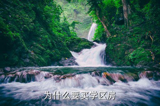 为什么要买学区房