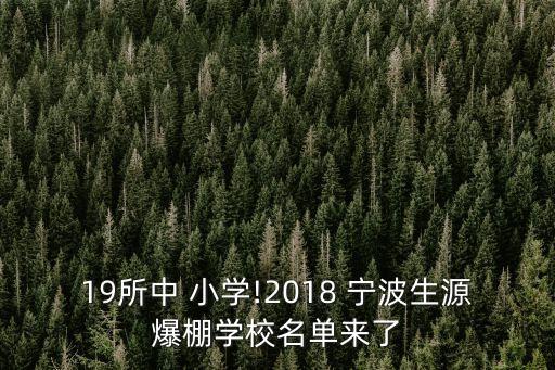 19所中 小学!2018 宁波生源爆棚学校名单来了