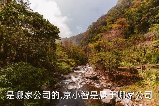 小智是哪家公司的,京小智是属于哪家公司