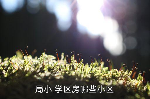 局小 学区房哪些小区