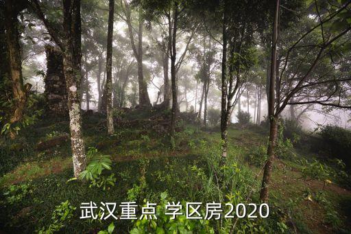 武汉重点 学区房2020