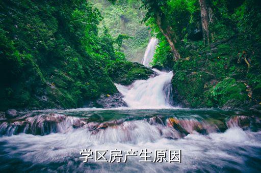 学区房产生原因