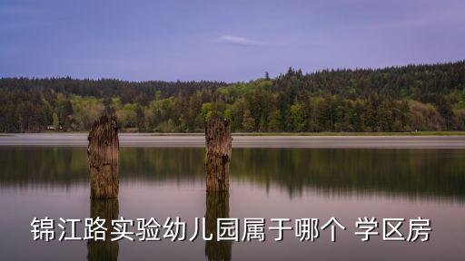 锦江路实验幼儿园属于哪个 学区房