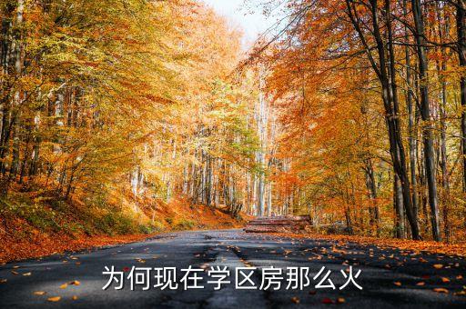 为何现在学区房那么火