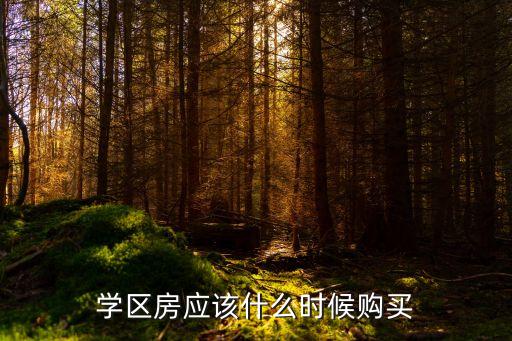 学区房应该什么时候购买