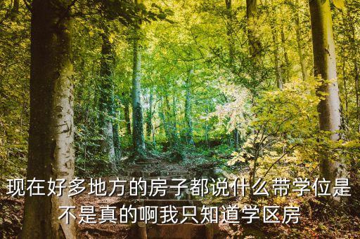 现在好多地方的房子都说什么带学位是不是真的啊我只知道学区房