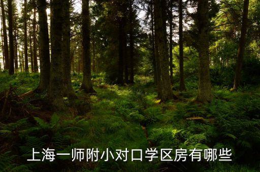 上海一师附小对口学区房有哪些
