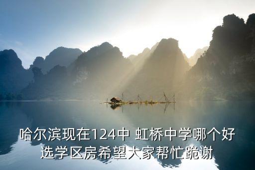 哈尔滨现在124中 虹桥中学哪个好选学区房希望大家帮忙跪谢