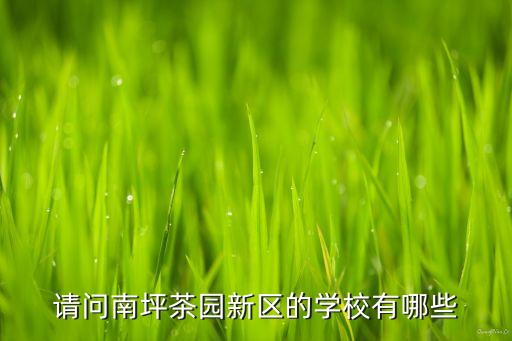 请问南坪茶园新区的学校有哪些