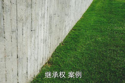  继承权 案例
