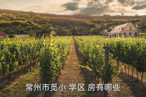 常州市觅小 学区 房有哪些