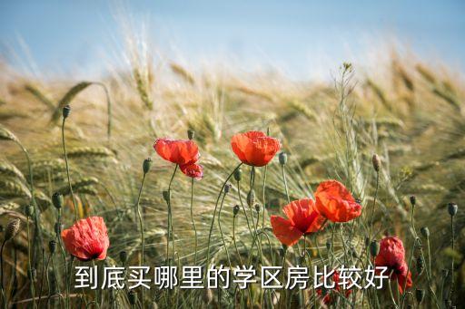 到底买哪里的学区房比较好