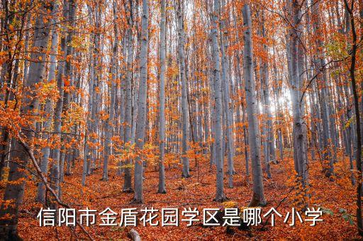 信阳学区房是什么意思，关于上学的问题