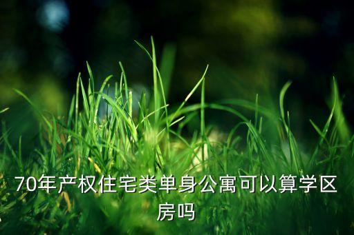 什么公寓房能上学区房，70年产权住宅类单身公寓可以算学区房吗
