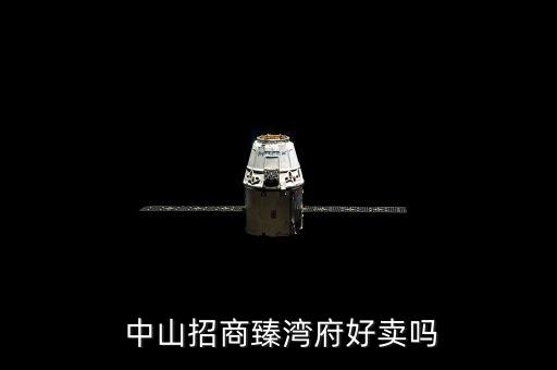  中山招商臻湾府好卖吗