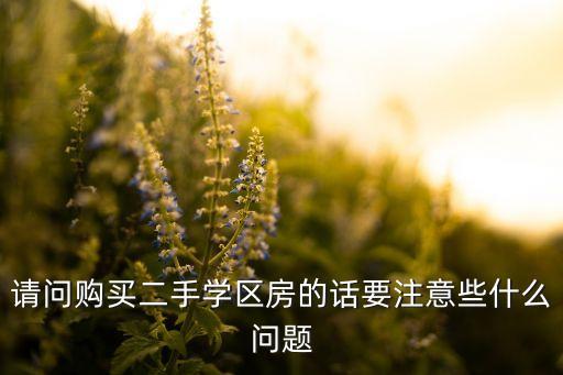 请问购买二手学区房的话要注意些什么问题