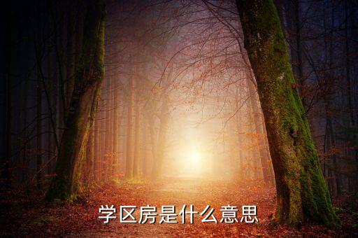 学区房是什么意思