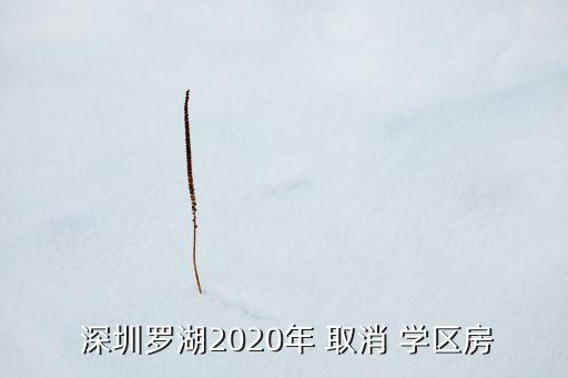  深圳罗湖2020年 取消 学区房