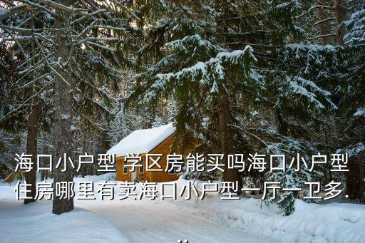 海口小户型 学区房能买吗海口小户型住房哪里有卖海口小户型一厅一卫多...