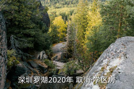 深圳罗湖2020年 取消 学区房