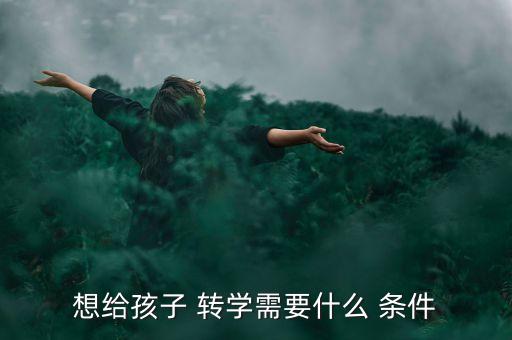 想给孩子 转学需要什么 条件
